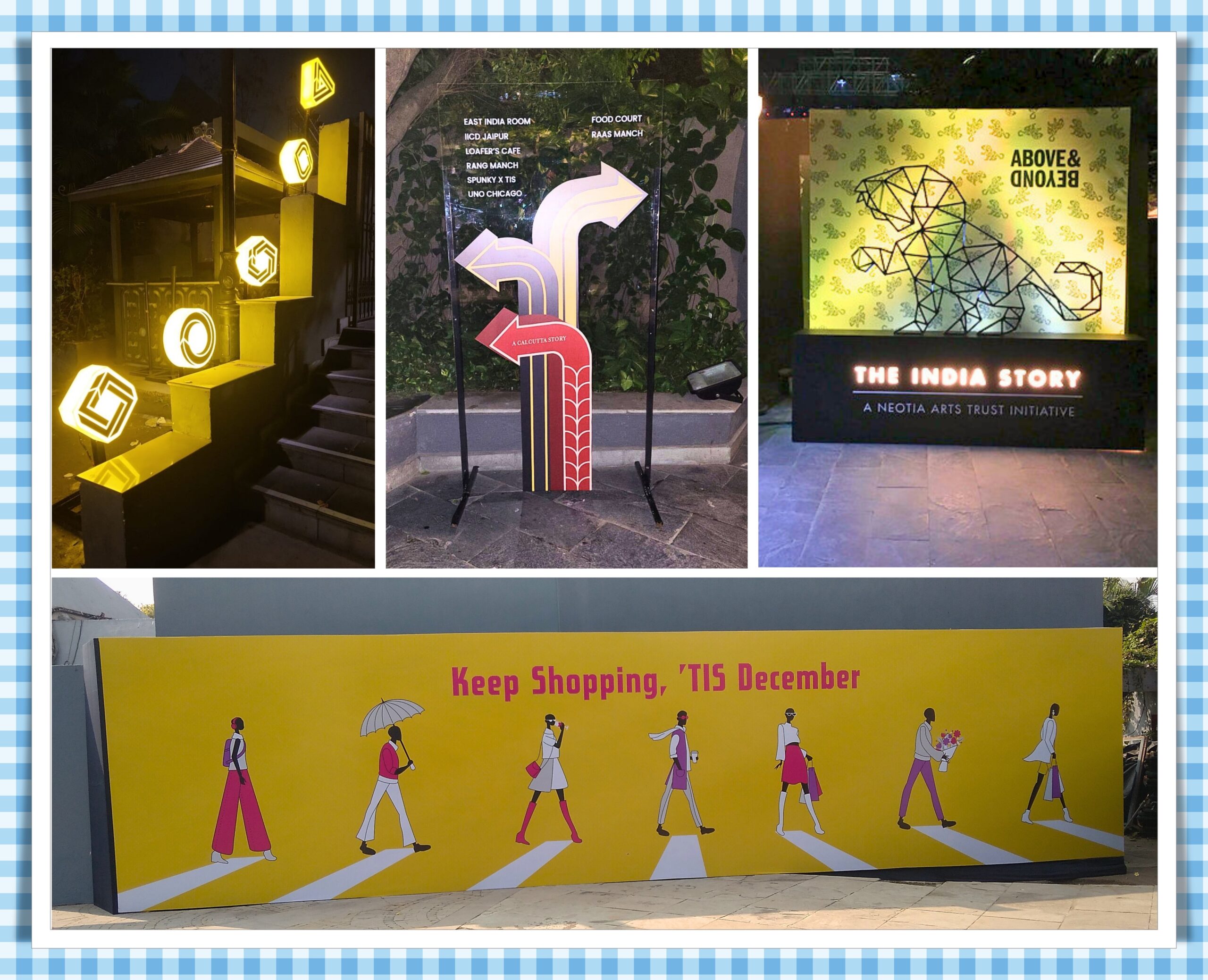The India Story & Wedding Dairies
